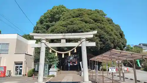 金ヶ作熊野神社の鳥居