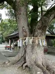 大御和神社の自然