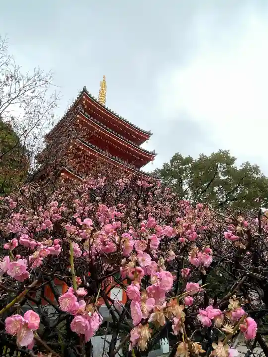 東長寺(福岡県)
