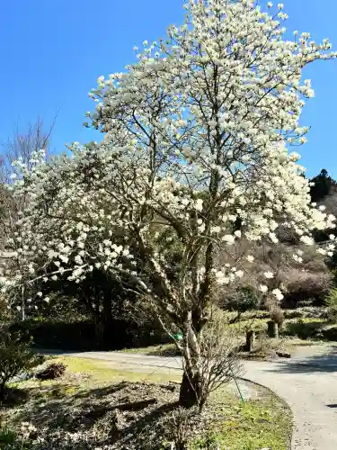 桐ノ木谷薬師堂の{uncategorized: "未分類", other: "その他", undefined: "問題あり", building: "その他建物", grave: "お墓", sacred_gate: "鳥居", guardian: "狛犬", statue: "像", buddha: "仏像", history: "歴史", nature: "自然", garden: "庭園", animal: "動物", pagoda: "塔", temizu: "手水舎", mountain_gate: "山門・神門", sanctuary: "本殿・本堂", subordinate: "末社・摂社", art: "芸術", scenery: "景色", jizo: "地蔵", ema: "絵馬", goshuin: "御朱印", omikuji: "おみくじ", items: "授与品その他", amulet: "お守り", goshuincho: "御朱印帳", eats: "食事", festival: "お祭り", votive_dance: "神楽", shichigosan: "七五三参", wedding: "結婚式", experience: "体験その他", initially: "初詣", around: "周辺", anti_infection: "感染症対策"}