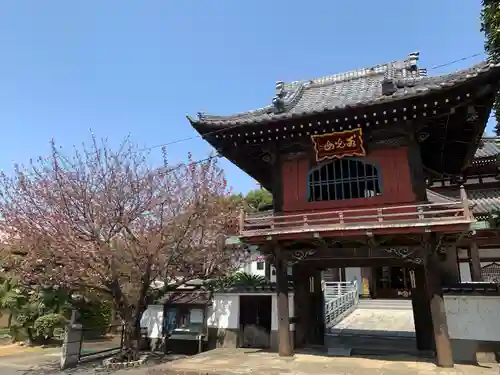 大應寺(埼玉県)