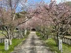 岩屋神社(福岡県)