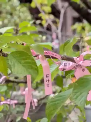 桜神宮(東京都)