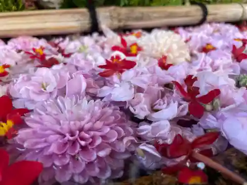 生田神社(兵庫県)