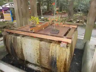 彌彦神社の手水舎