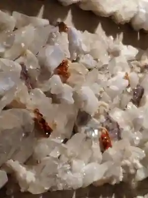 白龍大明神のその他建物