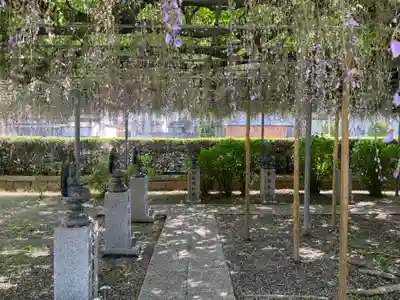 龍泉寺（足利厄除大師）(栃木県)