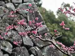 宝山寺(奈良県)