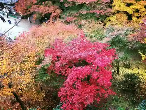 圓教寺の自然