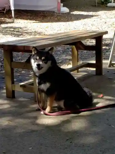 上目黒氷川神社(東京都)