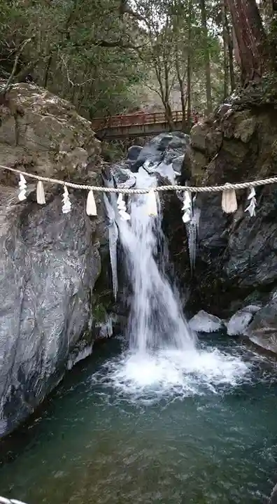 丹生川上神社(中社)の自然
