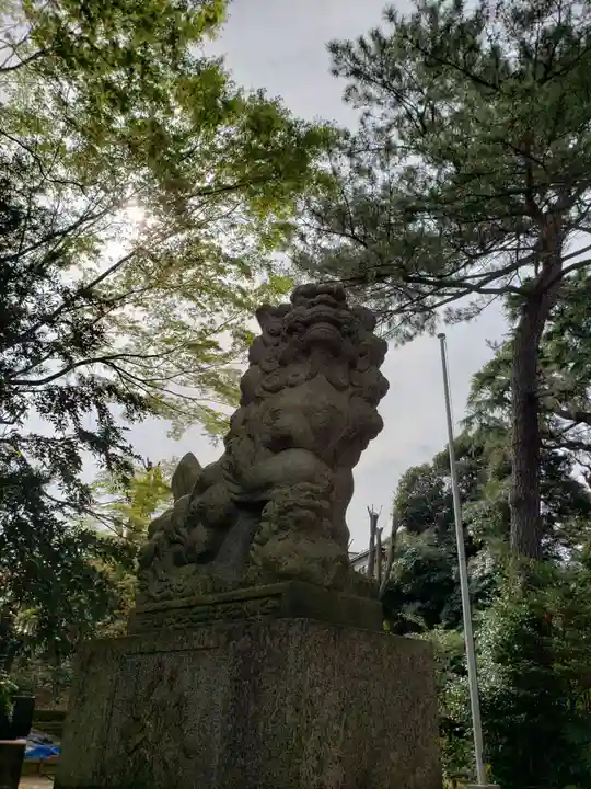 上高田氷川神社の狛犬