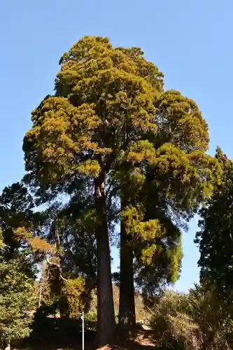 河内白王神社(高知県)