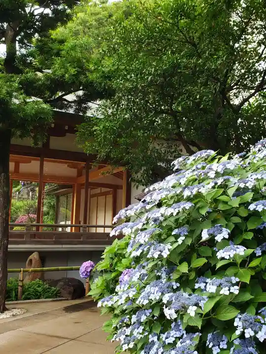 鳩森八幡神社のその他建物