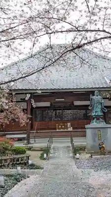 墨染寺（桜寺）(京都府)