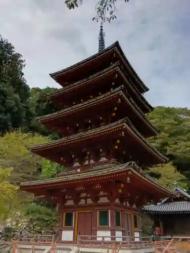 長谷寺(奈良県)