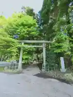縣神社の鳥居