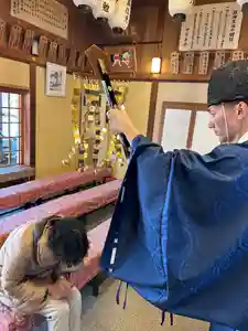 總社 和田八幡宮(福井県)(2025年04月24日(木) 18時19分51秒投稿)