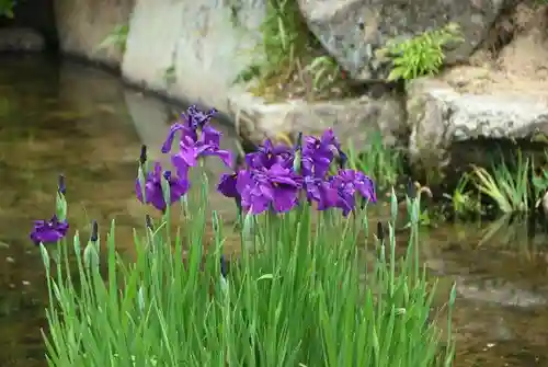 東行庵(山口県)