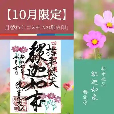 勝覚寺の御朱印