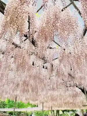 徳蔵寺(栃木県)