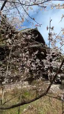 十輪寺(京都府)