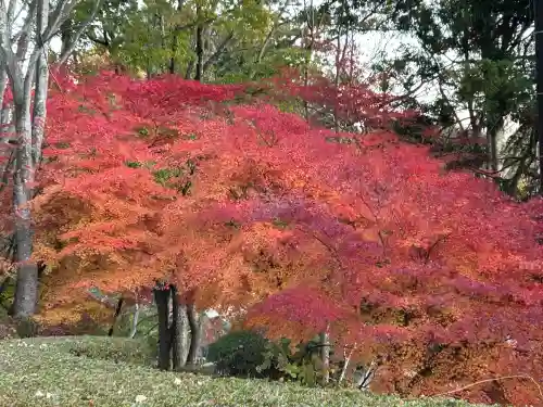 国宝 大法寺(長野県)