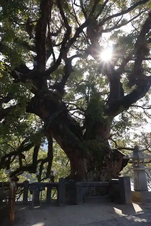 與止日女神社(佐賀県)