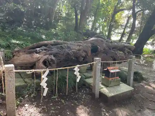泉神社(茨城県)