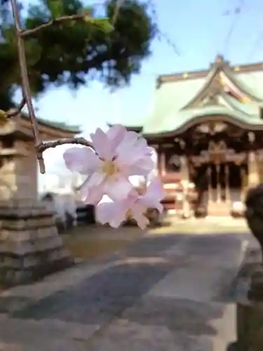 諏訪神社(東京都)