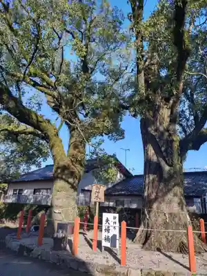 美奈宜神社(福岡県)