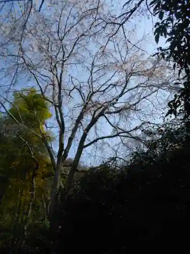 安國論寺（安国論寺）の景色