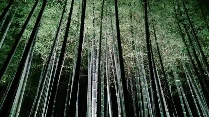 青蓮院門跡(京都府)