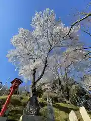 白鳥神社の自然