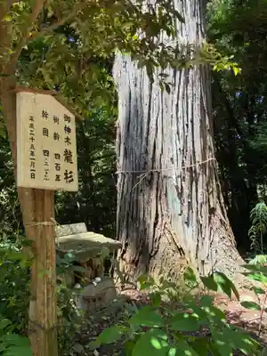 八龍神社(茨城県)