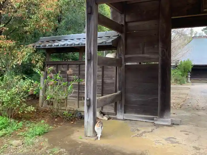 円天寺(千葉県)
