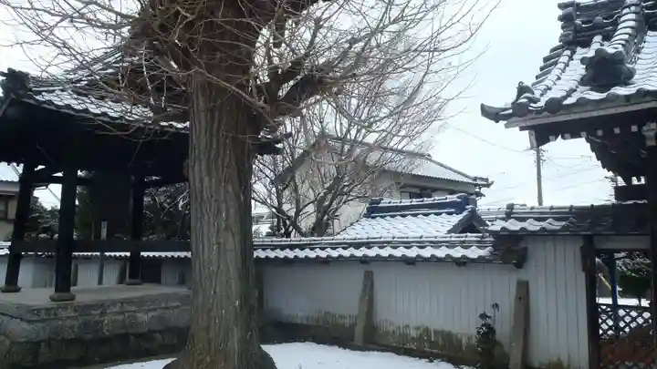 長善寺(愛知県)