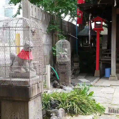 雷電稲荷神社の狛犬