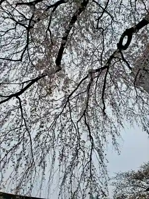 常圓寺(東京都)