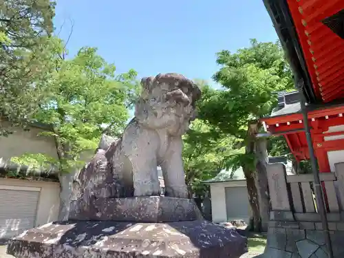 深志神社の狛犬