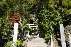 大國魂神社の鳥居