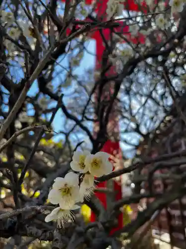武州柿生琴平神社の{uncategorized: "未分類", other: "その他", undefined: "問題あり", building: "その他建物", grave: "お墓", sacred_gate: "鳥居", guardian: "狛犬", statue: "像", buddha: "仏像", history: "歴史", nature: "自然", garden: "庭園", animal: "動物", pagoda: "塔", temizu: "手水舎", mountain_gate: "山門・神門", sanctuary: "本殿・本堂", subordinate: "末社・摂社", art: "芸術", scenery: "景色", jizo: "地蔵", ema: "絵馬", goshuin: "御朱印", omikuji: "おみくじ", items: "授与品その他", amulet: "お守り", goshuincho: "御朱印帳", eats: "食事", festival: "お祭り", votive_dance: "神楽", shichigosan: "七五三参", wedding: "結婚式", experience: "体験その他", initially: "初詣", around: "周辺", anti_infection: "感染症対策"}