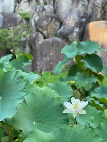 観音正寺(滋賀県)