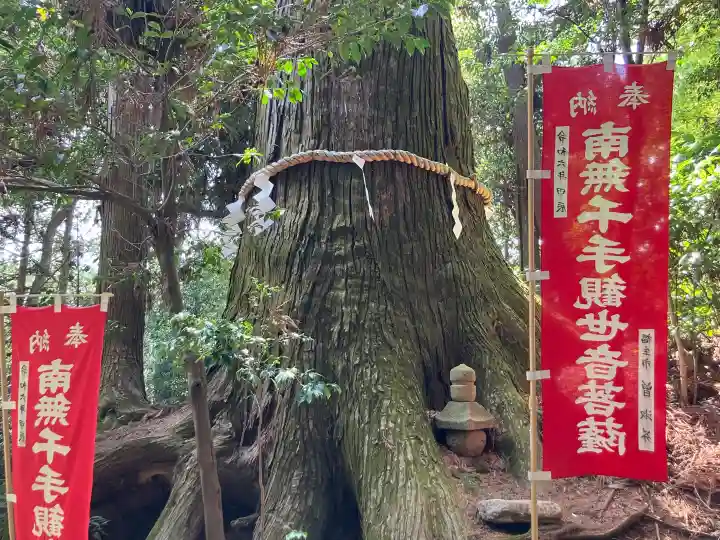 塩船観音寺の{uncategorized: "未分類", other: "その他", undefined: "問題あり", building: "その他建物", grave: "お墓", sacred_gate: "鳥居", guardian: "狛犬", statue: "像", buddha: "仏像", history: "歴史", nature: "自然", garden: "庭園", animal: "動物", pagoda: "塔", temizu: "手水舎", mountain_gate: "山門・神門", sanctuary: "本殿・本堂", subordinate: "末社・摂社", art: "芸術", scenery: "景色", jizo: "地蔵", ema: "絵馬", goshuin: "御朱印", omikuji: "おみくじ", items: "授与品その他", amulet: "お守り", goshuincho: "御朱印帳", eats: "食事", festival: "お祭り", votive_dance: "神楽", shichigosan: "七五三参", wedding: "結婚式", experience: "体験その他", initially: "初詣", around: "周辺", anti_infection: "感染症対策"}