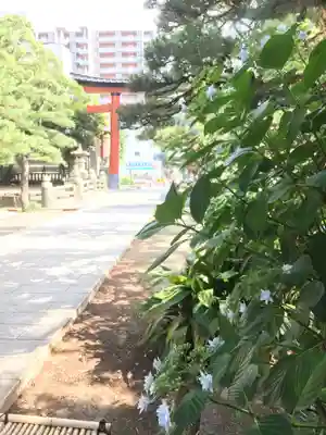 平塚八幡宮のその他建物