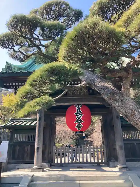 長谷寺の山門・神門