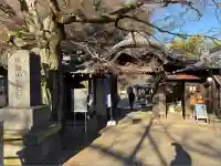 天王寺(東京都)