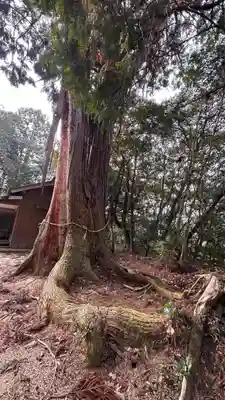 鴨神社(岡山県)