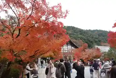 禅林寺(永観堂)(京都府)