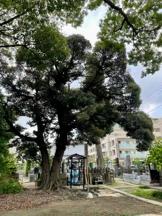 長福寺(神奈川県)